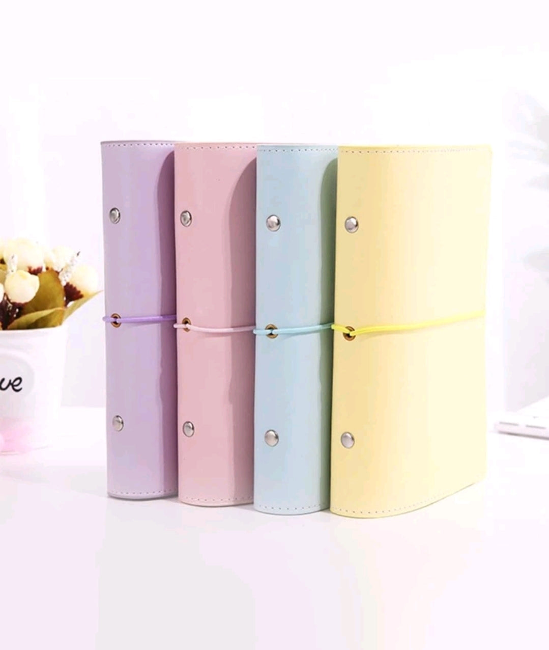 Budget Binder - Plain loose-leaf cover