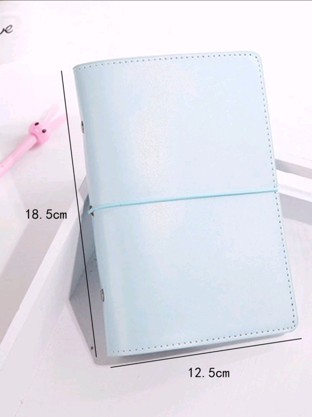 Budget Binder - Plain loose-leaf cover