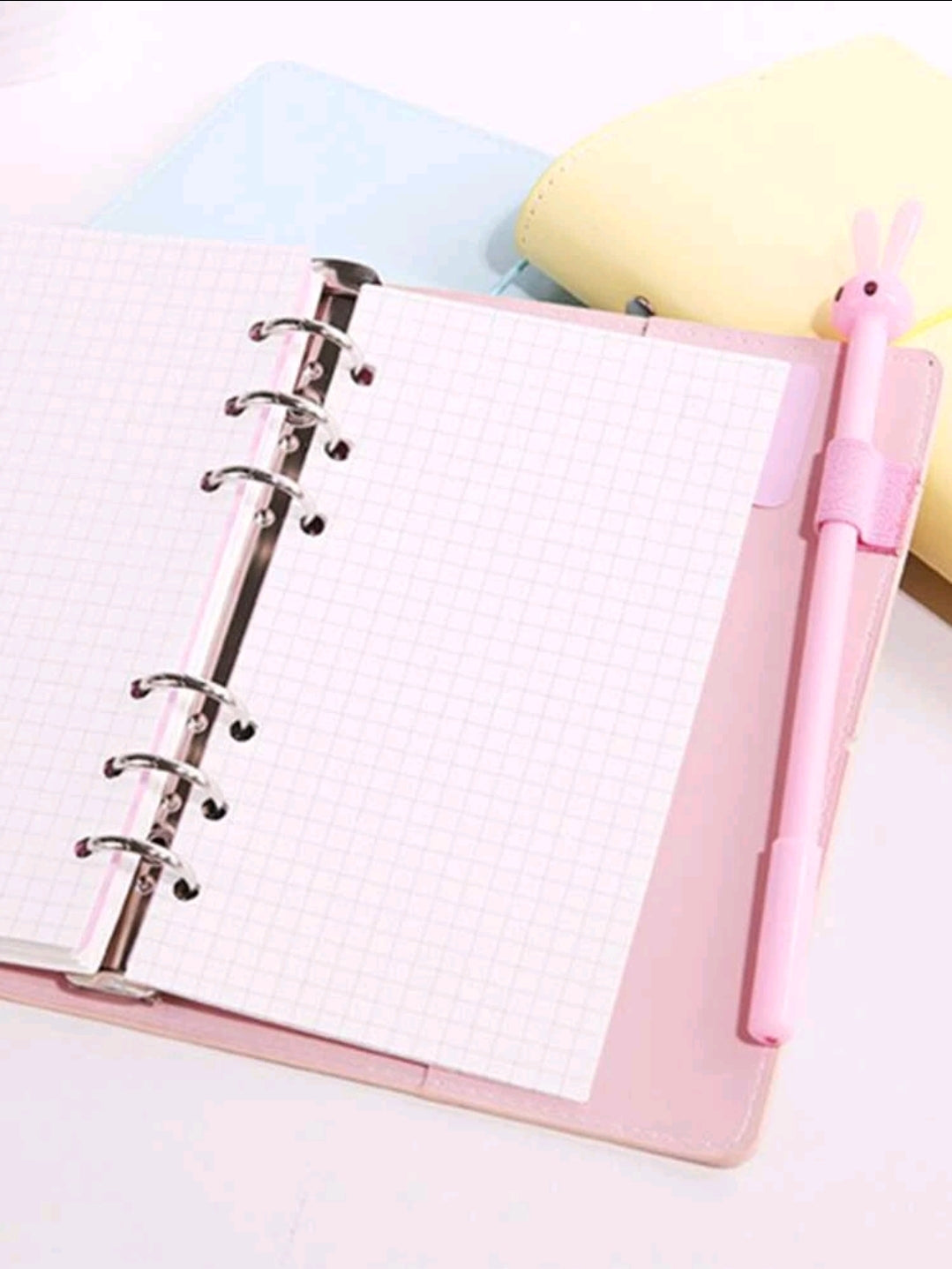 Budget Binder - Plain loose-leaf cover